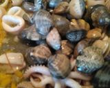 Foto del paso 10 de la receta Paella de marisco para principiantes