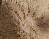A picture of step 2 of Zabeth's Chocolate Chip Cookies.