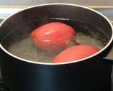 Foto del paso 1 de la receta Salmorejo de manzana