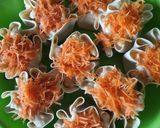 Foto langkah ke 2 dari resep Dimsum Ayam.