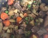 Beef and Vegetable hotpot recipe step 4 photo