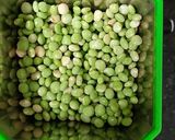 तुवर की कचोरी (Tuvar ki kachodi recipe in Hindi) रेसिपी चरण 2 फोटो