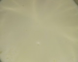 Foto del paso 1 de la receta: Queso Crema para Untar / Requeijão Caseiro