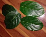 A picture of step 1 of Kotte kadabu.