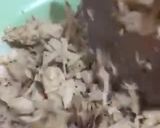 Foto langkah ke 3 dari resep Oseng tongkol pedas.