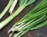 Foto langkah ke 6 dari resep BAKWAN TAHU Daun Kucai.
