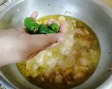 A picture of step 15 of WHITE KARAHi.
