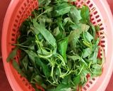 Foto langkah ke 1 dari resep Tumis kangkung (non MSG).