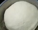 Foto del paso 2 de la receta: Pizza casera
