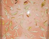A picture of step 6 of Chinagrass halwa.