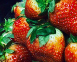 Foto del paso 1 de la receta: Fresas cubiertas con Chocolates