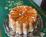 Une image de l'étape 13 de Charlotte aux abricots, orange et manzana.