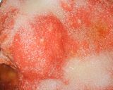 Foto del paso 7 de la receta: Porra Antequerana