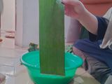 Lopis hijau mini (munjo) mungil ijo