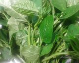 Foto langkah ke 1 dari resep 67. OSENG LABU DAN MUDA DAUN KACANG PANJANG.