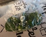 Une image de l'étape 1 de Pavés de saumon aux poivrons verts, épices et citron.