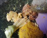 Foto langkah ke 2 dari resep Tengkleng Kambing.