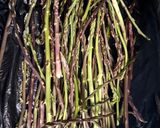 A picture of step 1 of Roasted wild asparagus.
