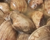 Foto del paso 2 de la receta: Almejas japonesas en salsa de sidra
