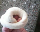 Foto del paso 33 de la receta: Bizcochitos de grasa