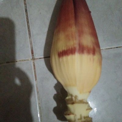 Langkah 1