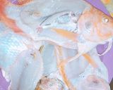 Foto langkah ke 1 dari resep Ikan nila asam manis.