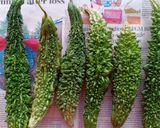 A picture of step 1 of Stuffed Bitter Gourd (Bharwa Karela).