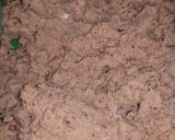 A picture of step 4 of Beef Shami Kabab.