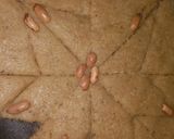 A picture of step 7 of Kibbeh in a Tefal Pan.