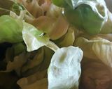 Rántott csirkecomb, egyszerűen a dobverő recept fázis 2 fotója