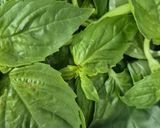 पेस्टो पास्ता (Pesto pasta recipe) रेसिपी चरण 1 फोटो