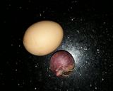 A picture of step 1 of Fried eggs and sliced bread.