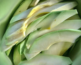 Foto del paso 5 de la receta: Rollitos vietnamitas