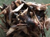 Ikan tongkol suwir pedas