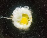 Foto langkah ke 2 dari resep Nasi Goreng Keju (super simpel dan cepat).