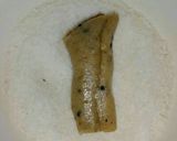 صورة لخطوة 10 من وصفة اصابع التمر بالسميد 😋😋😋