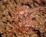 A picture of step 5 of layered potato hamburger casserole.