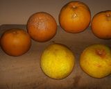 Foto del paso 1 de la receta: Licor de naranja al run