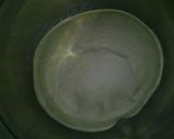 A picture of step 6 of Laham bi ajeen.
