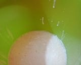 Foto del paso 3 de la receta: Gelatina de coco