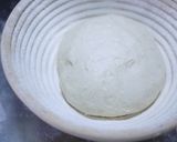A picture of step 13 of Lys d'Or Pain de Campagne.