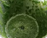પાલક પરાઠા (Palak Paratha recipe in Gujarati) રેસીપી સ્ટેપ3ફોટો