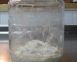 A picture of step 5 of For Beginners: Yogurt Bread Starter (Leaven).