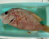 Foto langkah ke 1 dari resep Ikan asam manis.