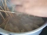 🍢 Sempol Ayam 🍢