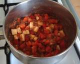 Vickys Lentil & Pepper Bake GF DF EF SF NF recipe step 5 photo
