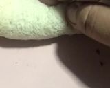 A picture of step 3 of Quick Choco French Toast Roll Ups.