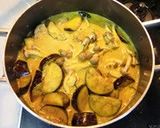 A picture of step 7 of Summer's Choice Coconut Milk Curry.