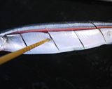 A picture of step 2 of Methods for Pre-Cutting Salt-Grilled Pacific Saury.
