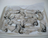 A picture of step 1 of Basic Breaded Deep Fried Oysters.